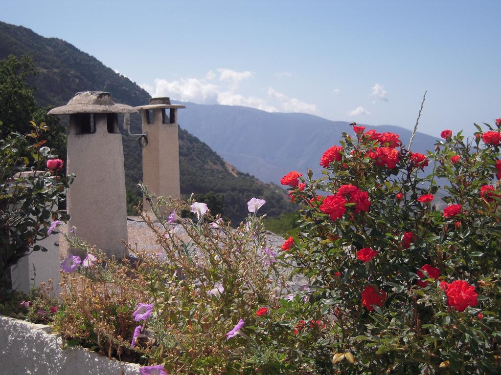 La Ermita Del Poqueira Apartment